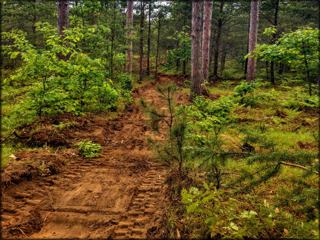 The Tamaracks OHM Trail