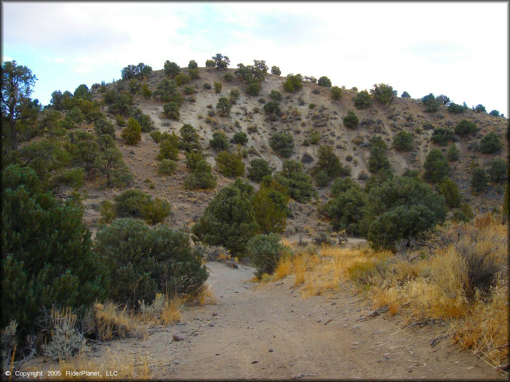 Mount Seigel OHV Trails