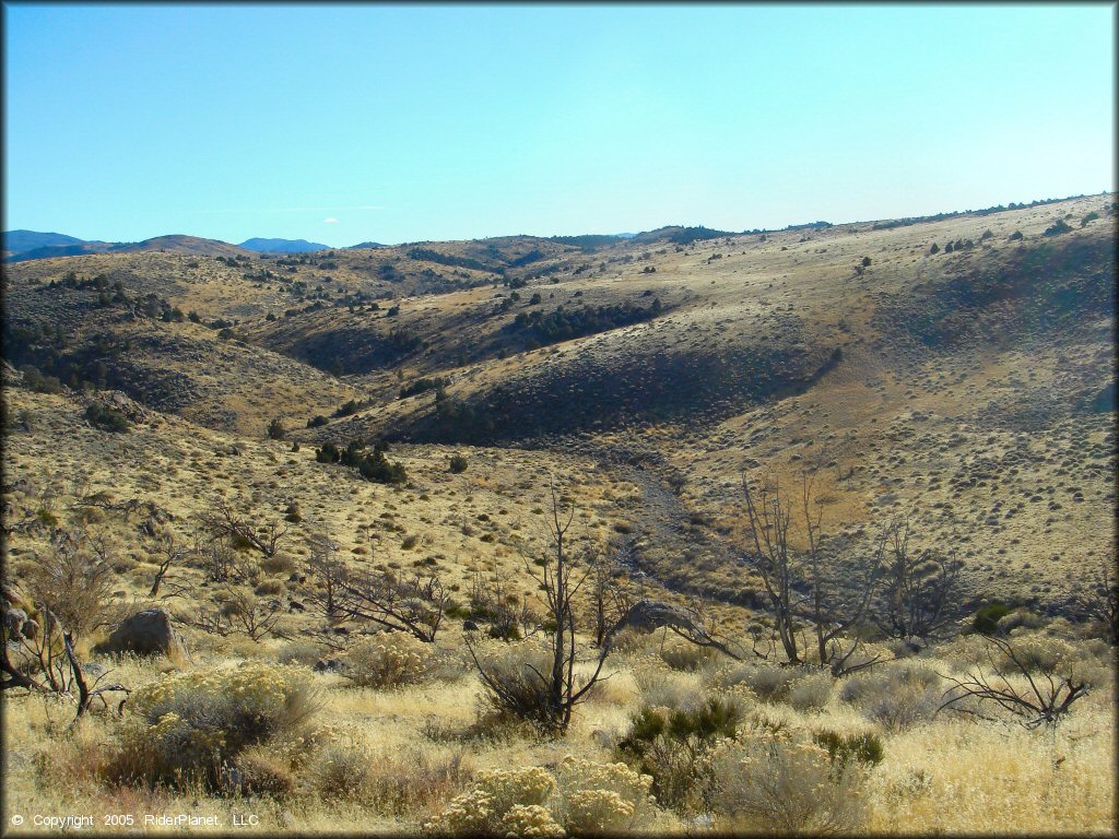 Scenery from China Springs Trail