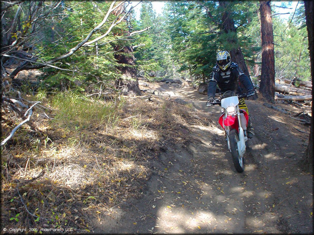 Honda CRF Motorcycle at Genoa Peak Trail