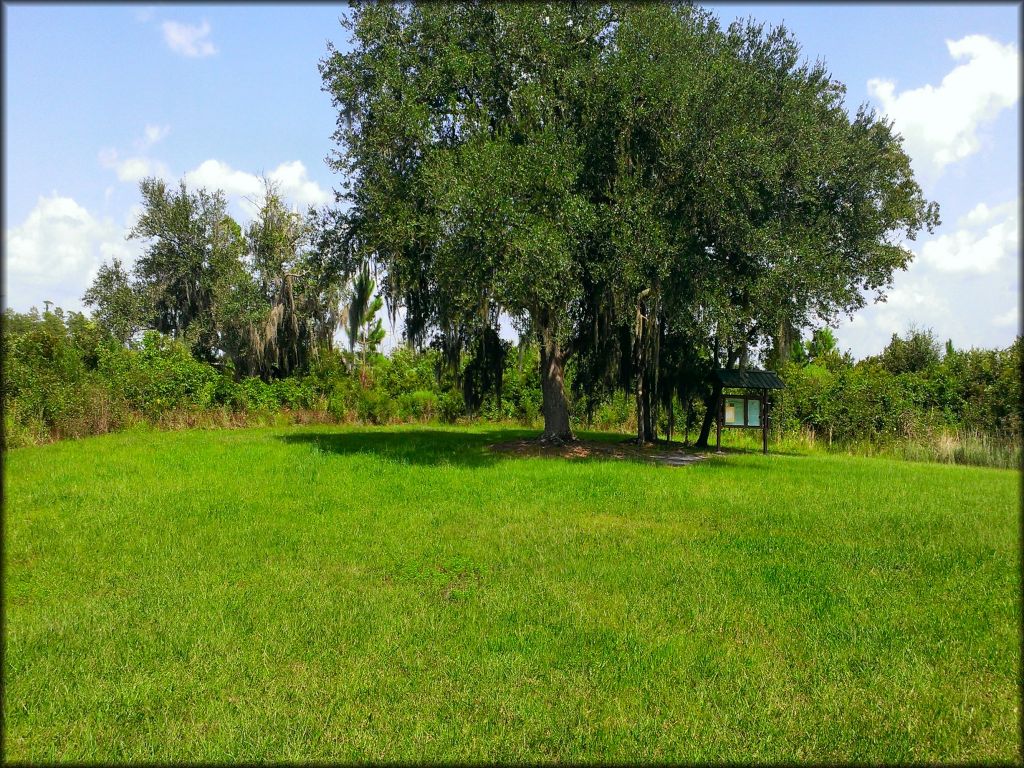 Mallory Swamp ATV Trail