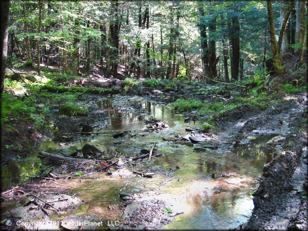 Terrain example at Camden ATV Trail