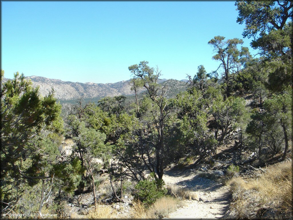 Scenery at Big Bear Lake Trail