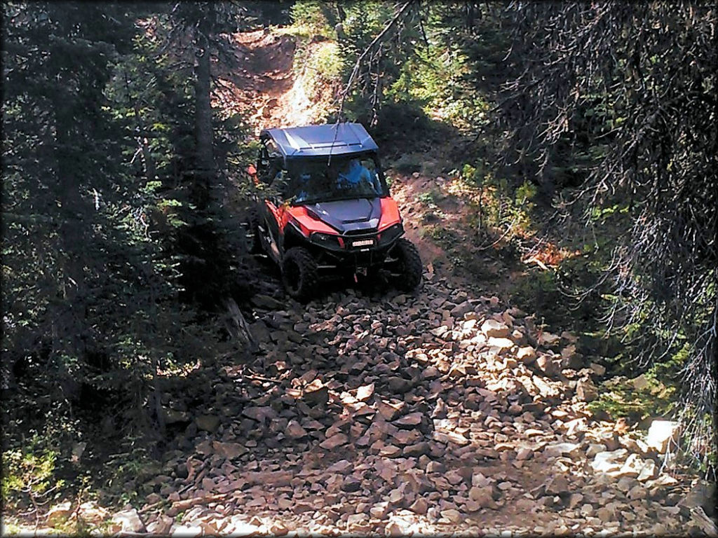 Ahtanum State Forest Trail