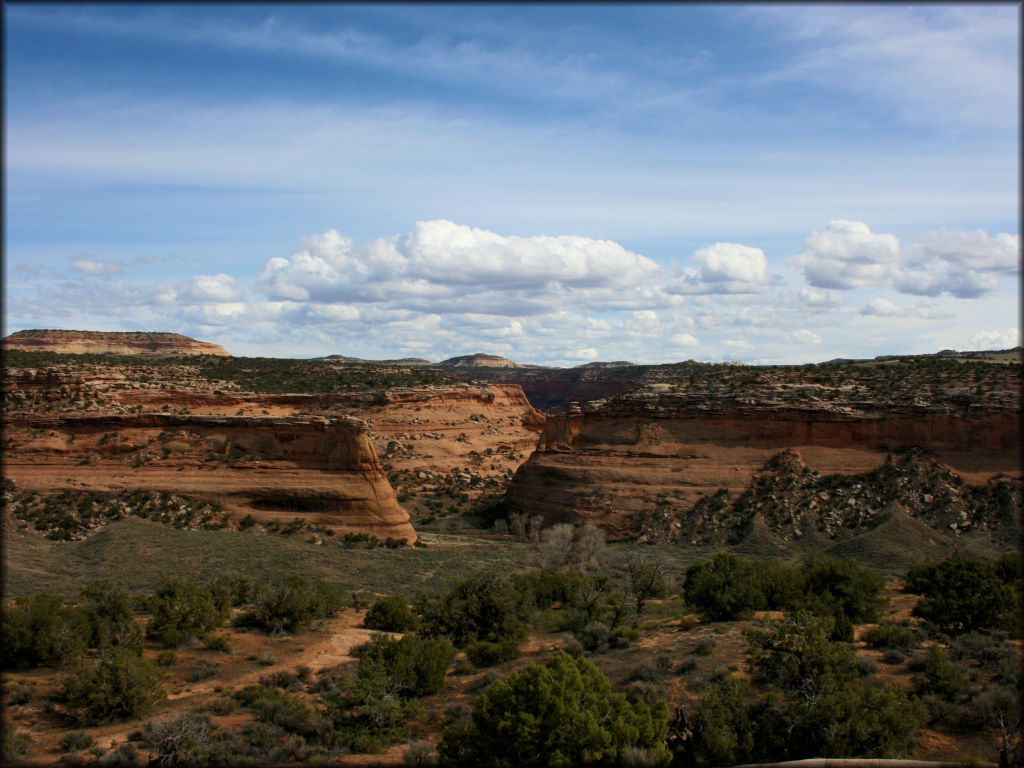 Rabbit Valley OHV Area Trail