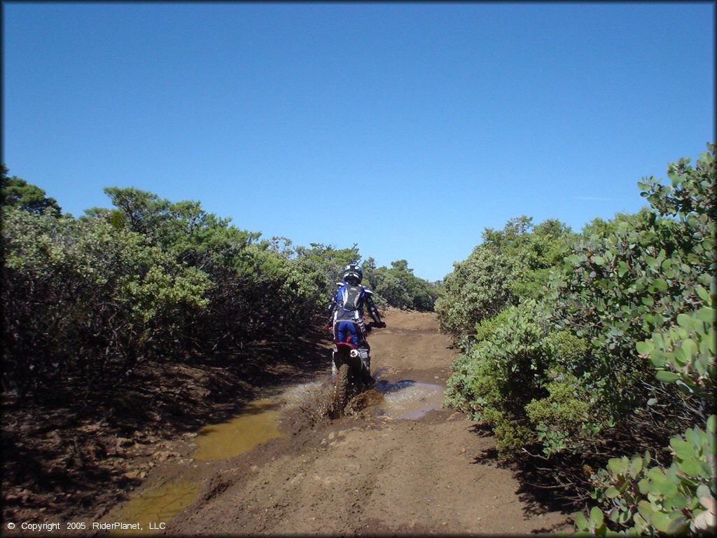 Honda CRF Dirt Bike traversing the water at South Cow Mountain Trail