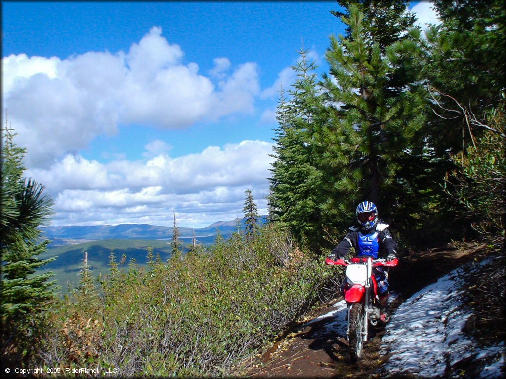 Honda CRF Dirt Bike at Prosser Hill OHV Area Trail