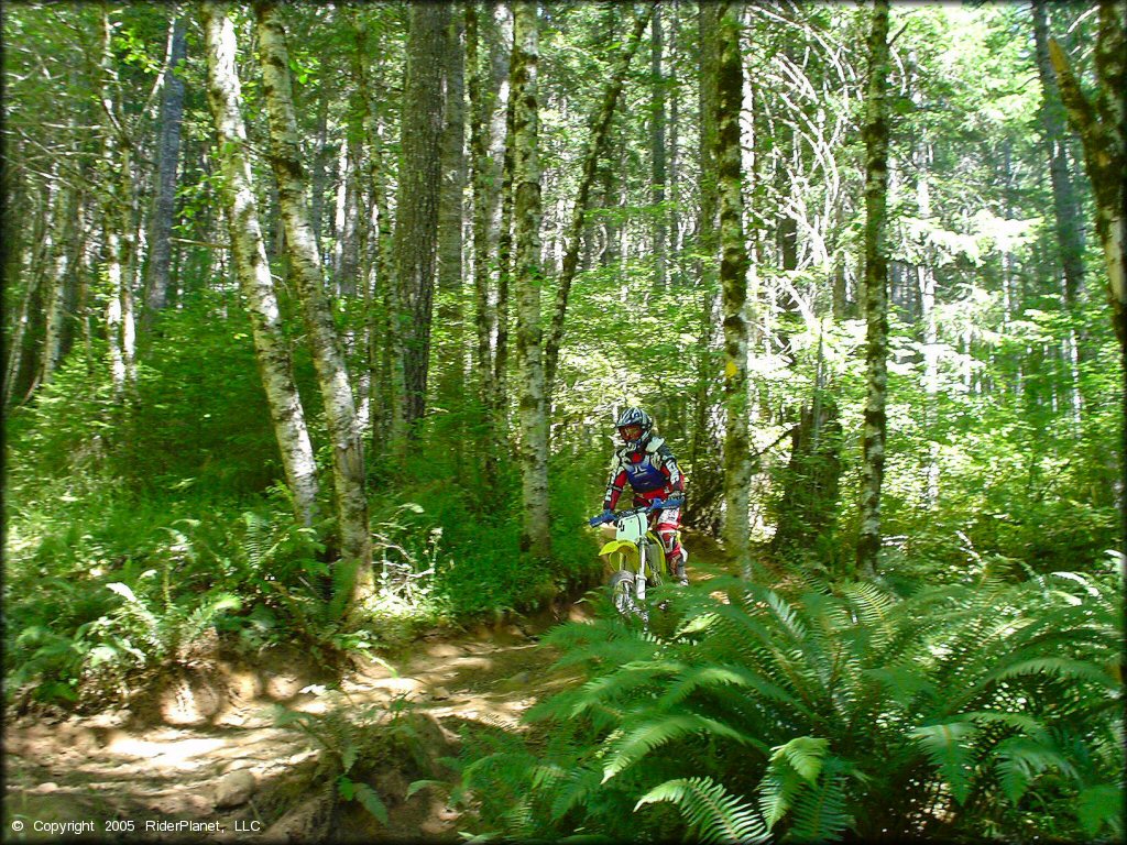 Woman riding a OHV at Upper Nestucca Motorcycle Trail System