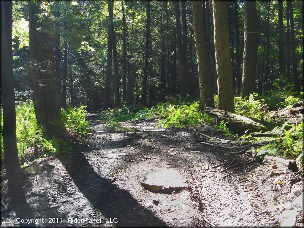 Terrain example at Camden ATV Trail