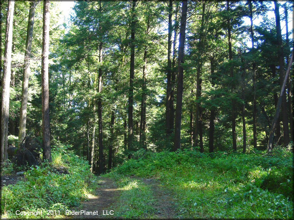 Example of terrain at Camden ATV Trail
