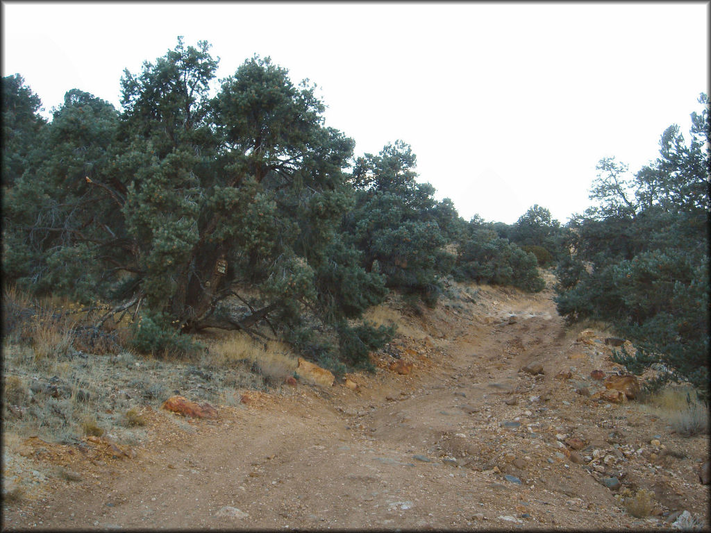 OHV at Lousetown Road Trail