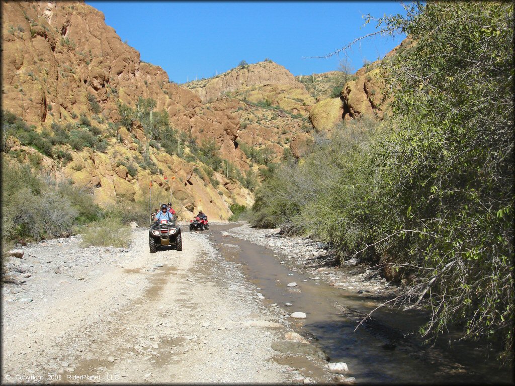 Guided tour with four riders on ATVs with orange whip flags.