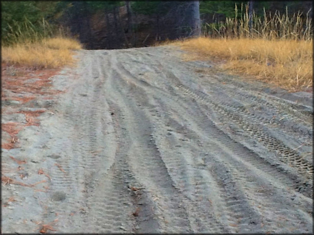 Douglas Hill OHV Area Trail