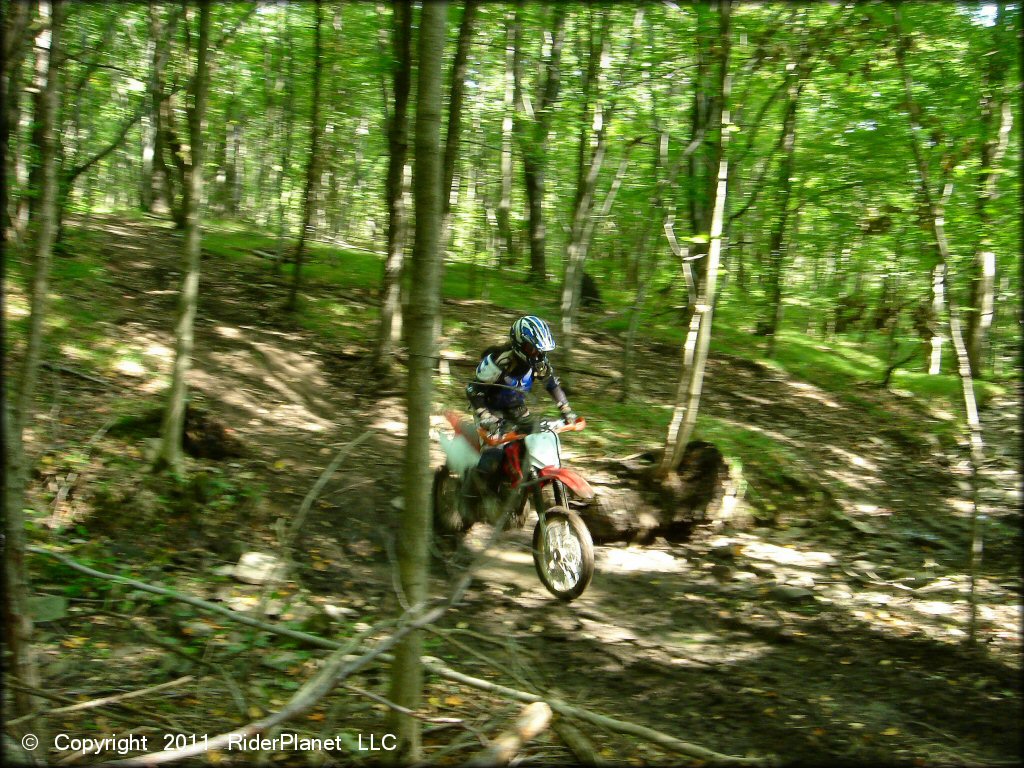 Honda CRF Trail Bike at Tall Pines ATV Park Trail