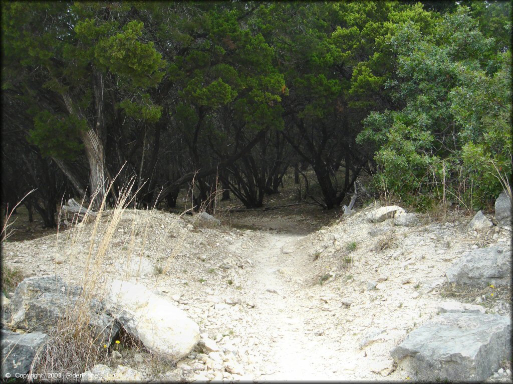 Example of terrain at Emma Long Metropolitan Park Trail