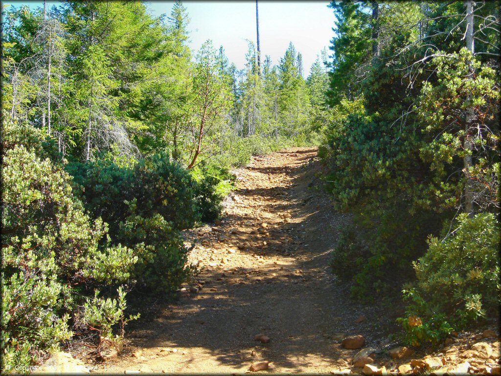 Terrain example at Rattlesnake Ridge Area Trail