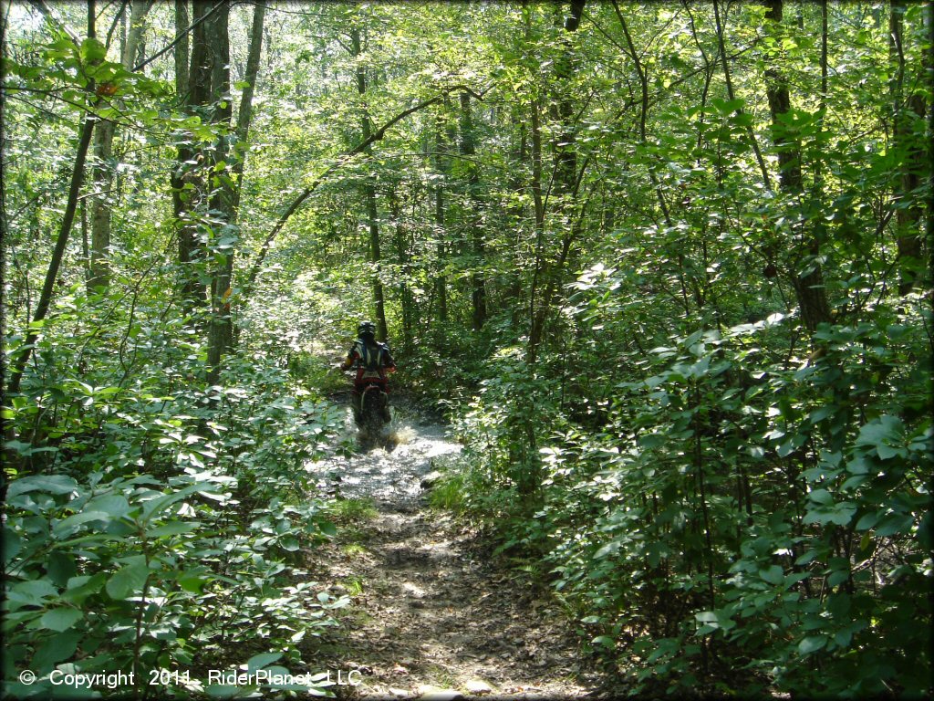 Honda CRF Motorcycle at Wrentham Trails