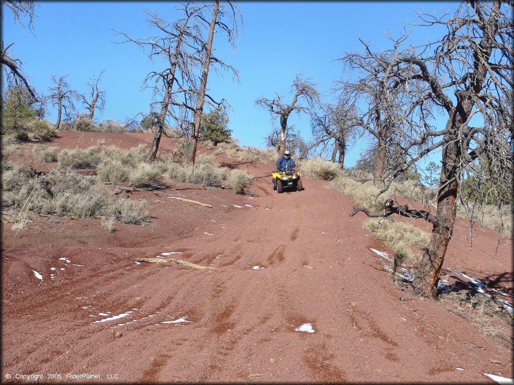 Rider wearing winter riding gear on Yellow Honda Recon 250 going downhill on wide ATV trail.