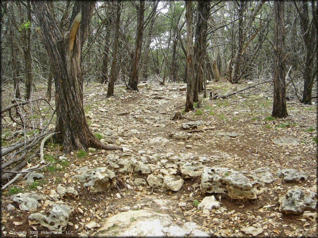 Example of terrain at Emma Long Metropolitan Park Trail