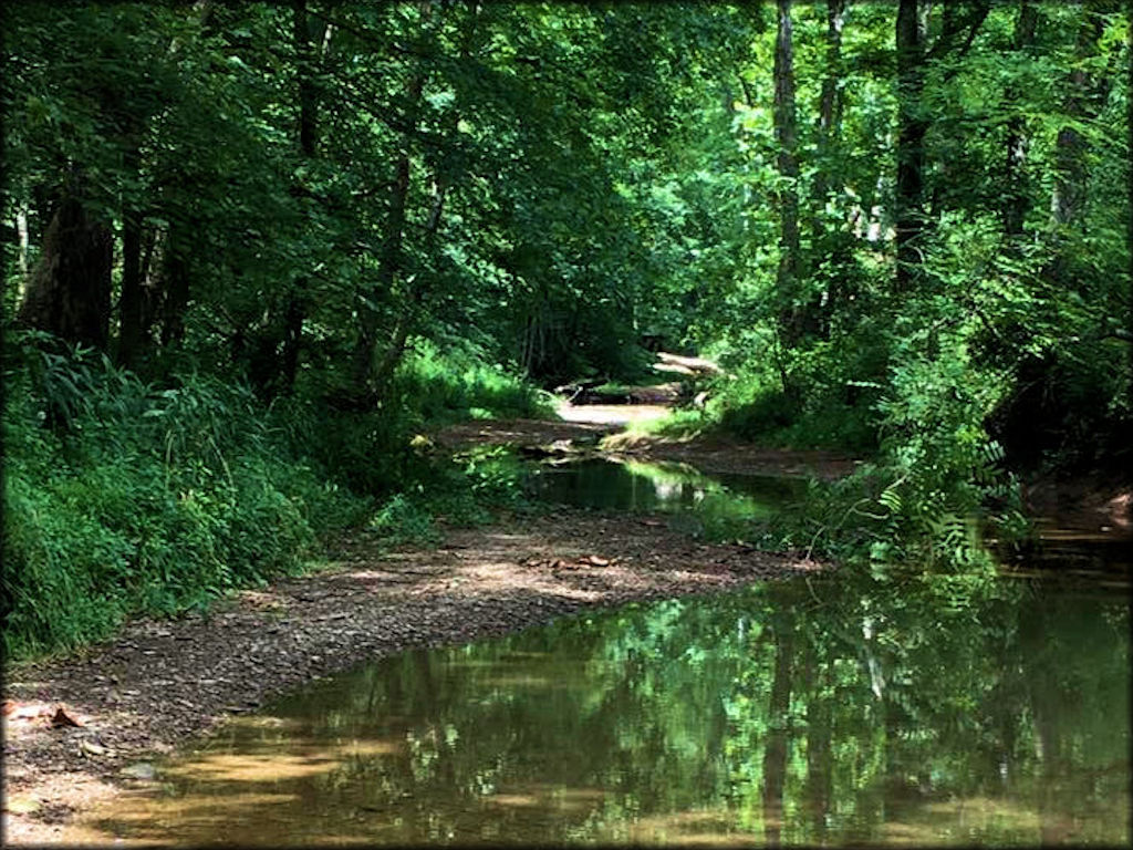 Lake Moco, LLC Riding Club Trail