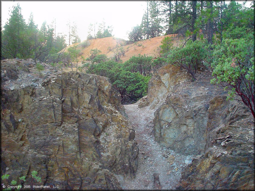 Scenic view of Greenhorn Trail