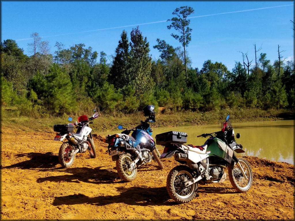 Mount Creek Adventure Park Trail