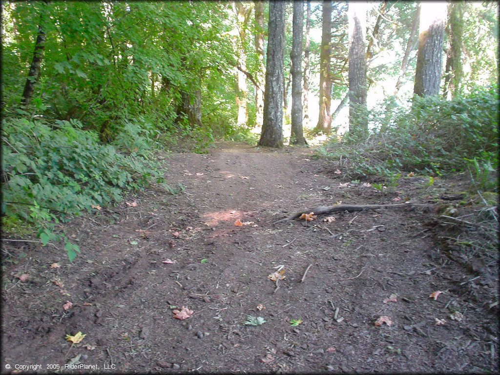 A trail at Prairie Peak Trail