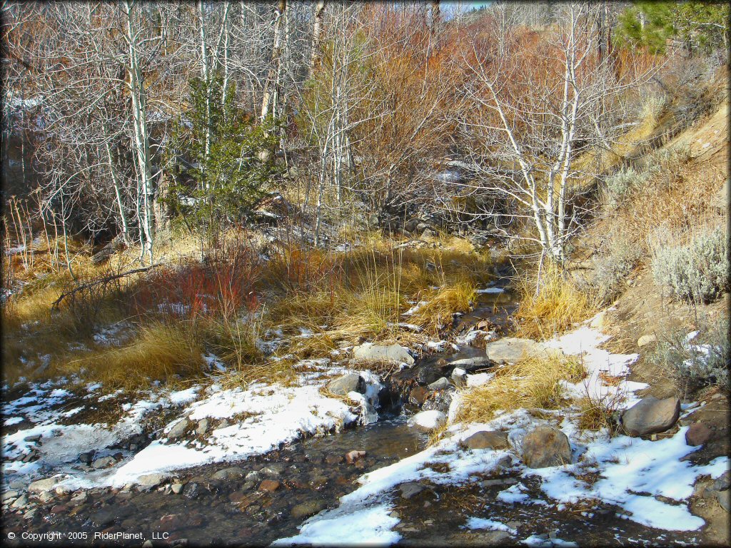 OHV at Timberline Road Trail