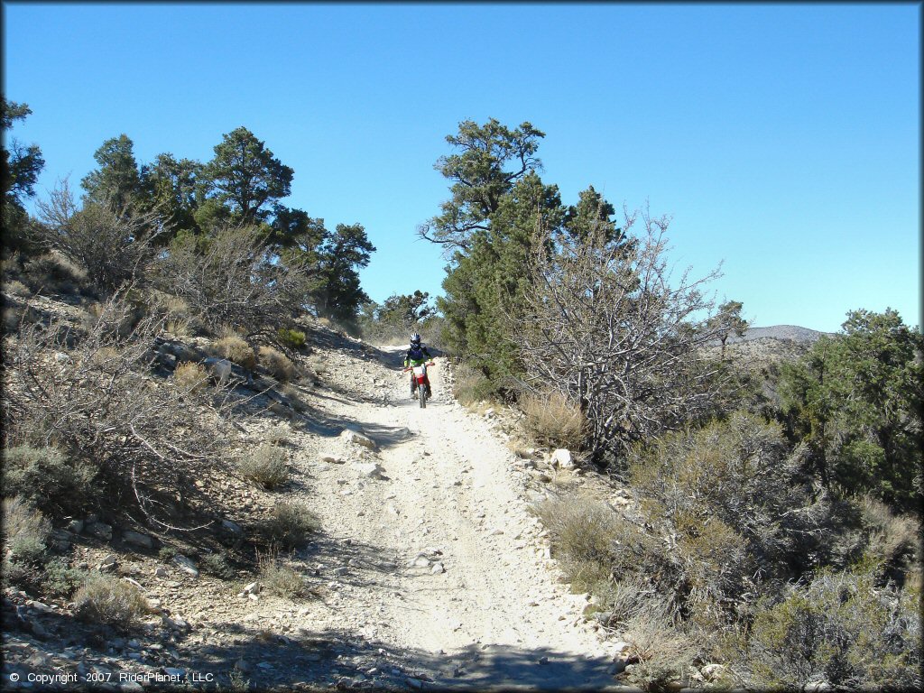 Honda CRF Trail Bike at Big Bear Lake Trail