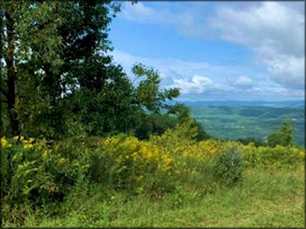 Tackett Creek Trails