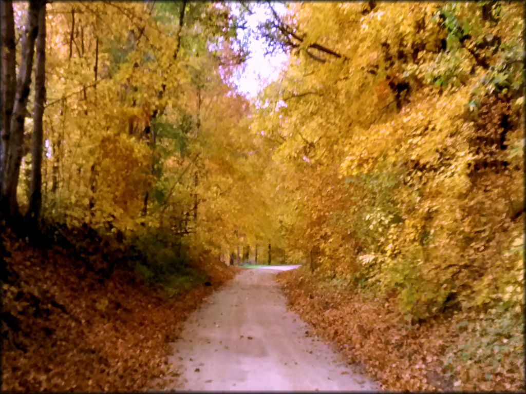 Tri-County Trails