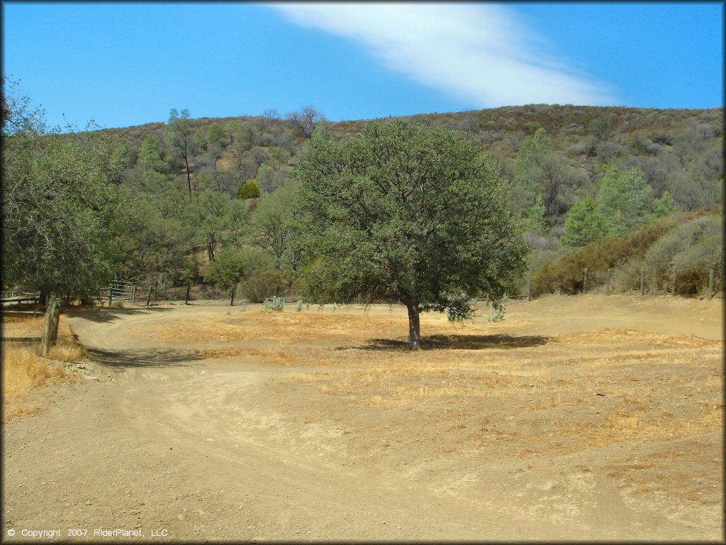 Scenery at Clear Creek Management Area Trail