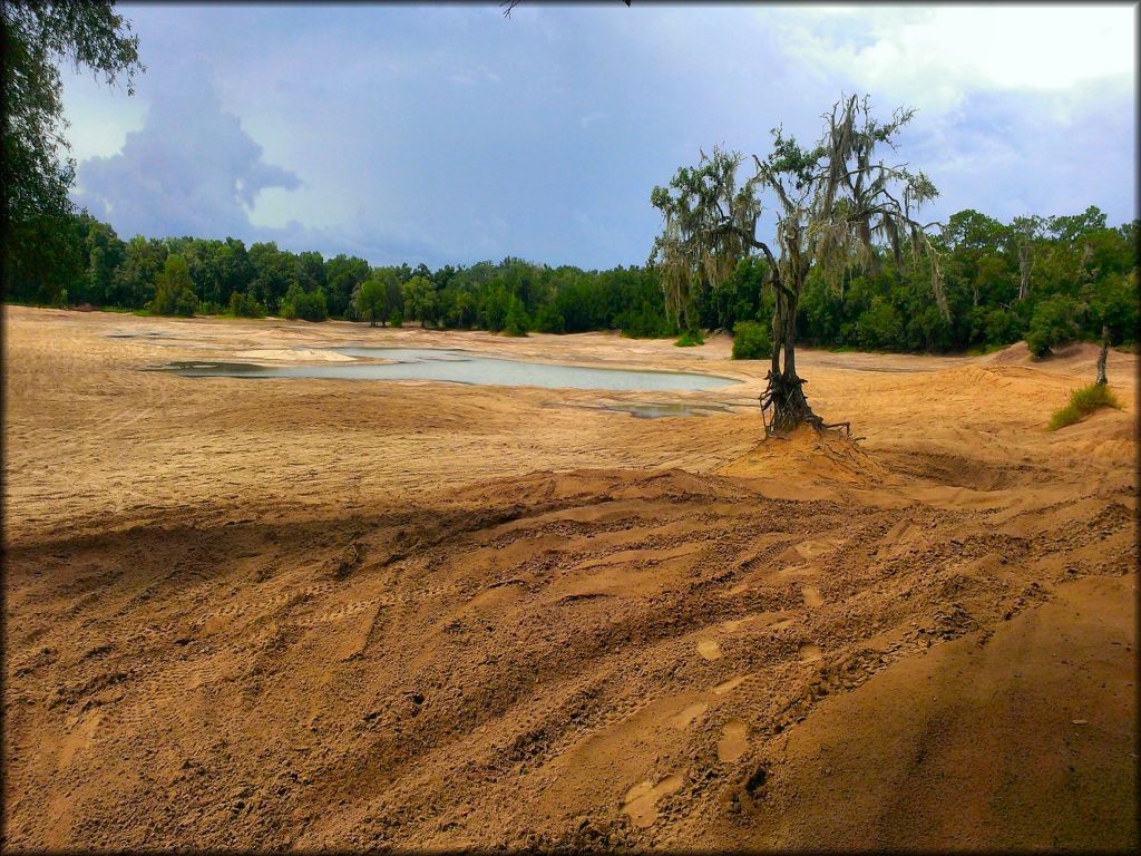 Croom Motorcycle Area Trail