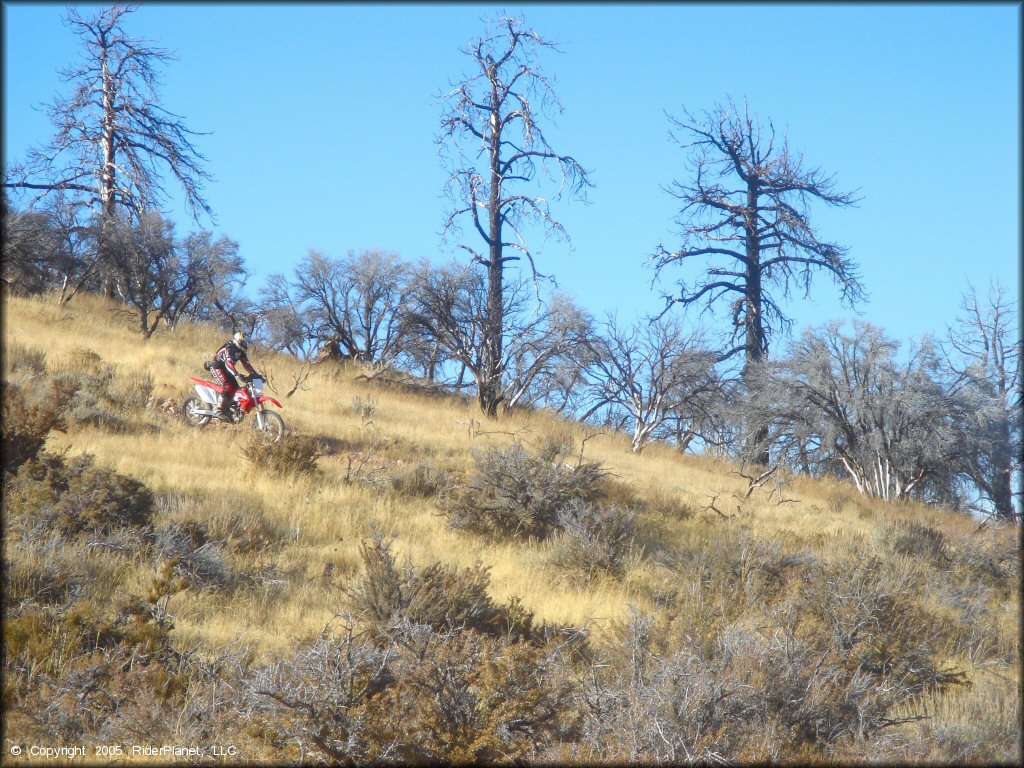 Honda CRF Motorcycle at Hunter Lake Trail
