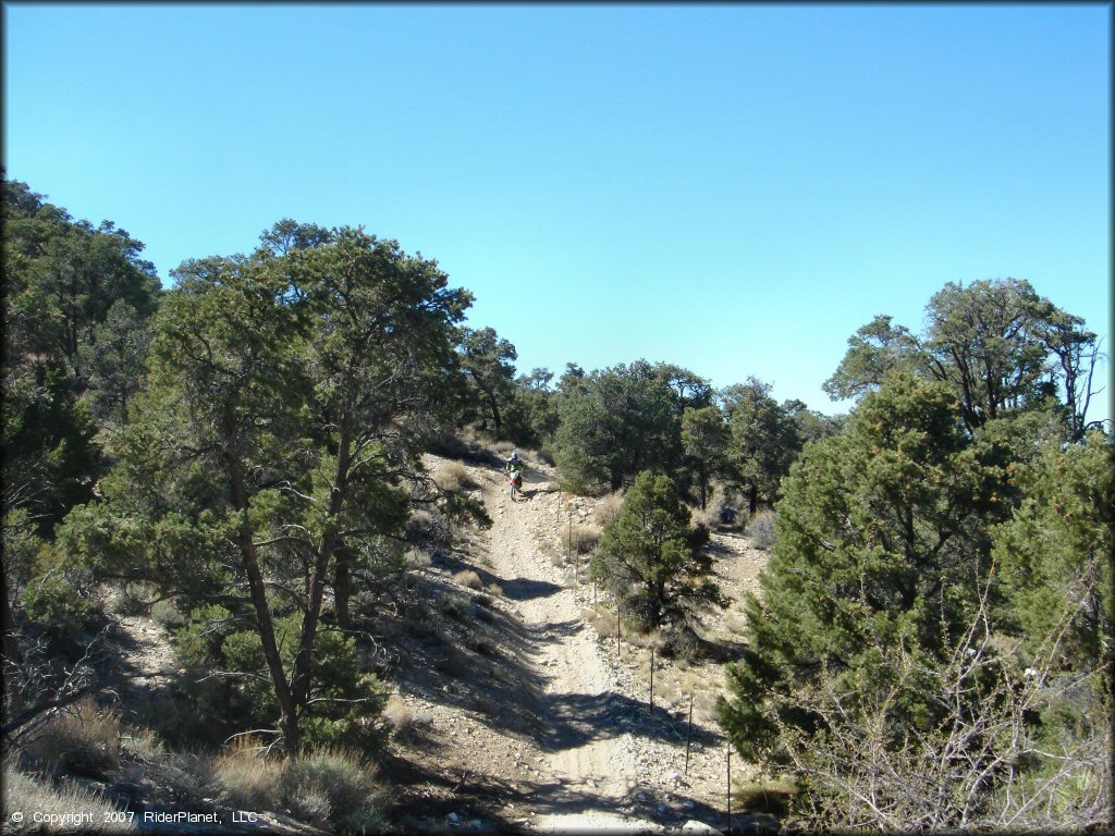 Honda CRF-150 going down rocky 4x4 hill.