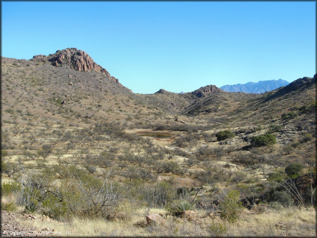 Scenic view of Red Springs Trail