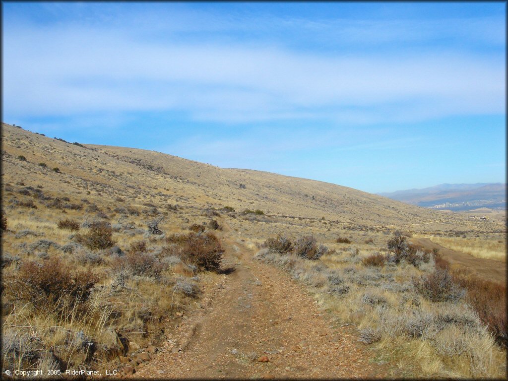 A trail at Timberline Road Trail
