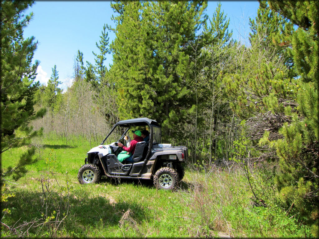 Polaris UTV with a driver and passenger parked alongside the trail.
