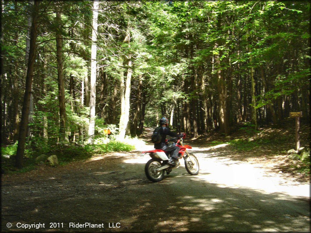 Honda CRF Off-Road Bike at Pisgah State Park Trail