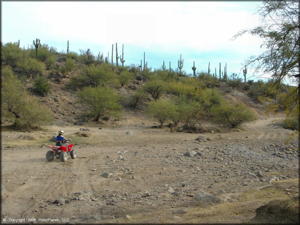 OHV at Four Peaks Trail