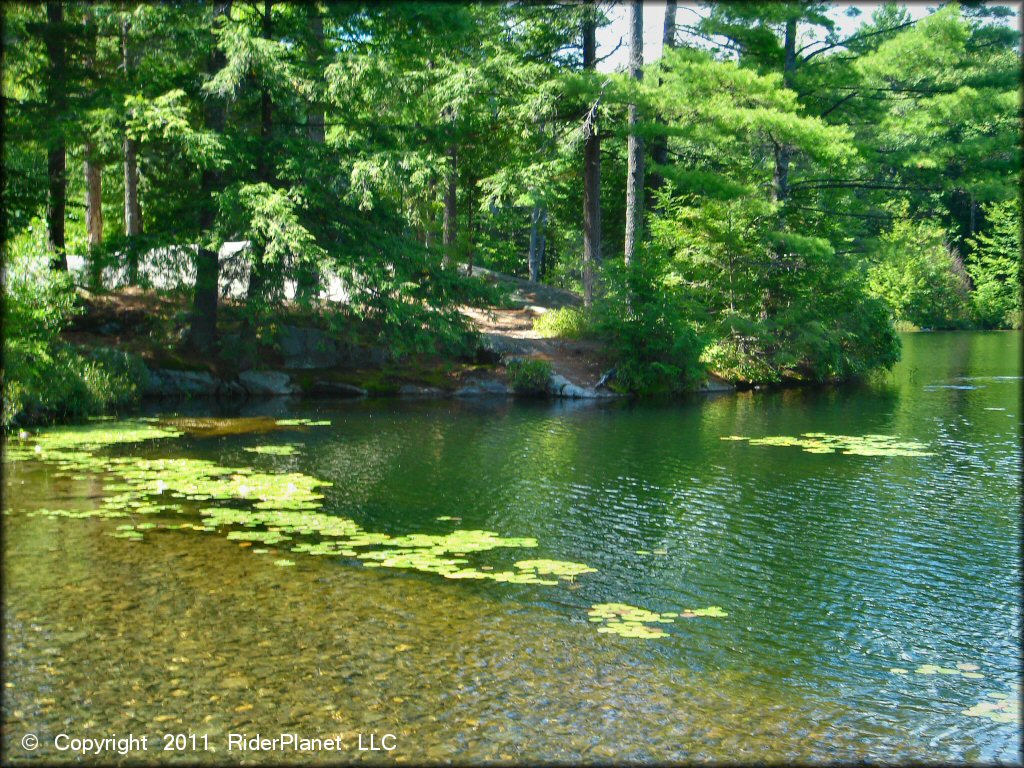 Scenery from Pisgah State Park Trail