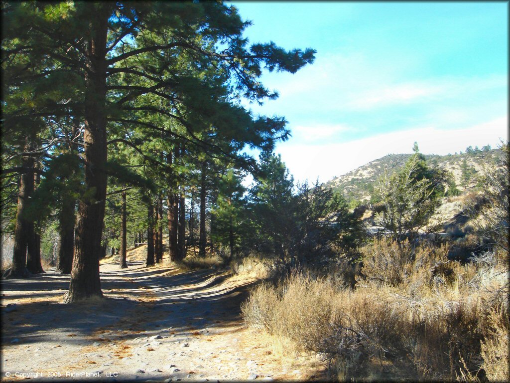 Some terrain at Timberline Road Trail