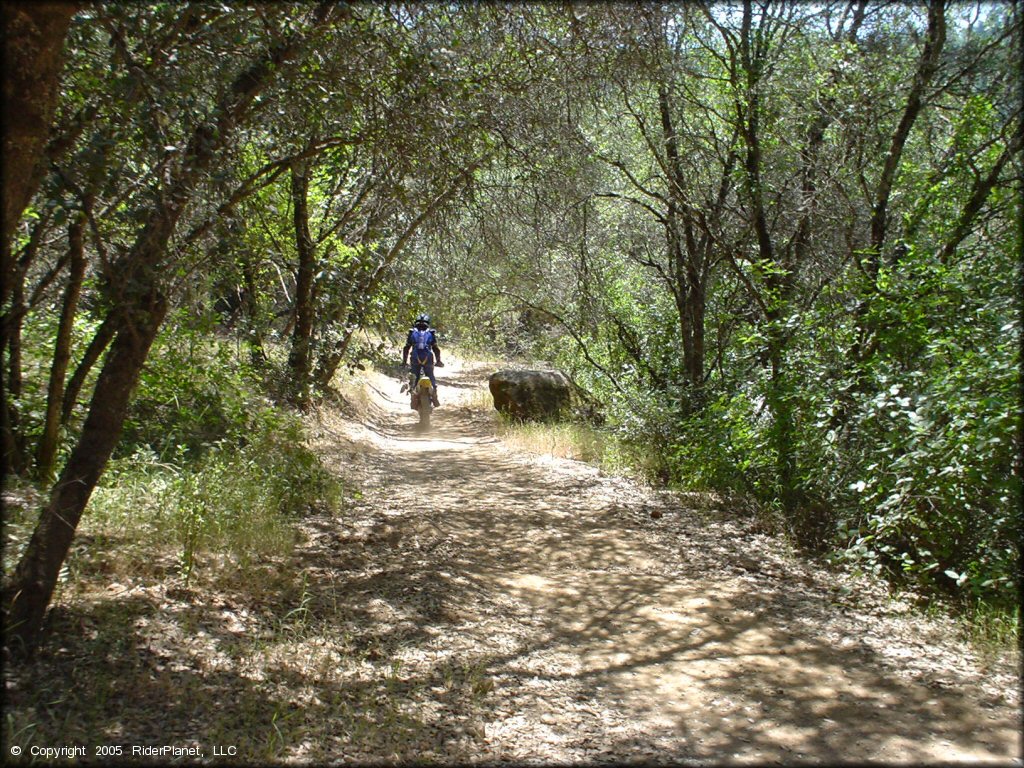 OHV at Mammoth Bar OHV OHV Area