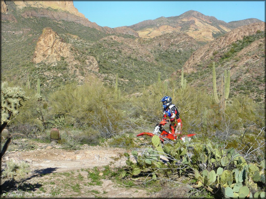 Honda CRF Dirt Bike at Bulldog Canyon OHV Area Trail