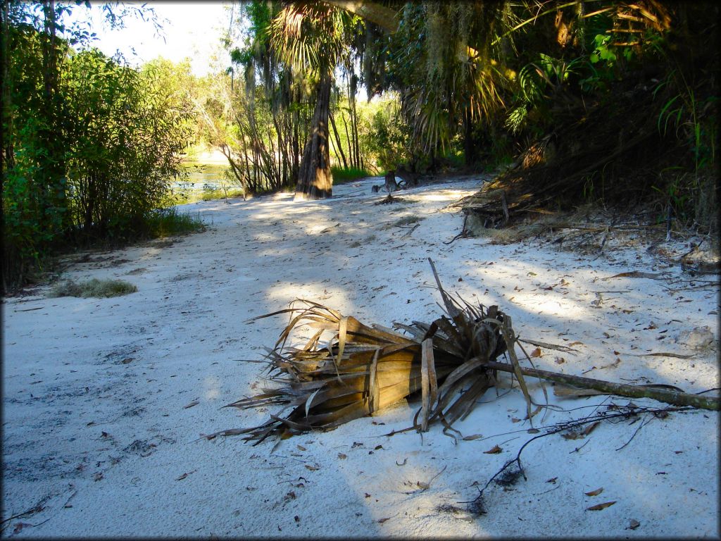 Peace River Campground Trail