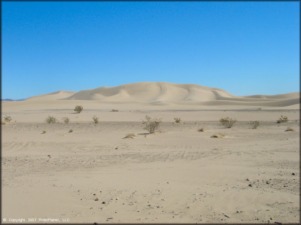 Scenery at Dumont Dunes OHV Area