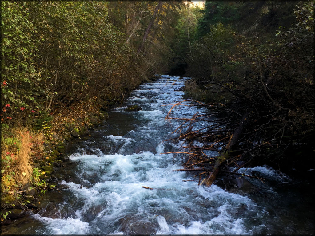 Bird Creek Valley Trail