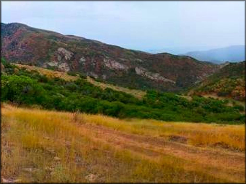 Diamond Fork Trail