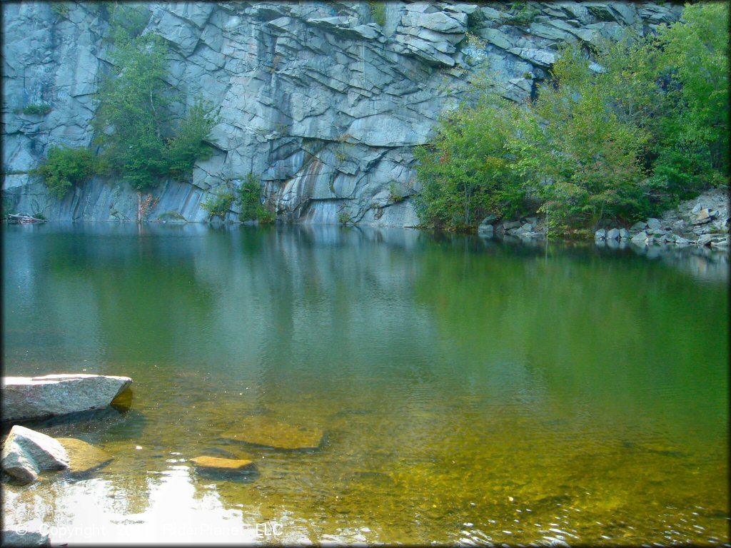 Scenery at Freetown-Fall River State Forest Trail