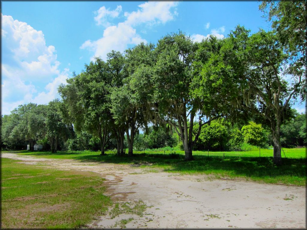 Gatorback Cycle Park Track